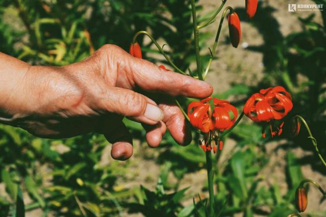 Подружжя з Луцька щороку висаджує квіти у «CITY PARK». ФОТО