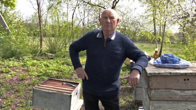 Як у часи Київської Русі: під Луцьком відродили древнє бортництво