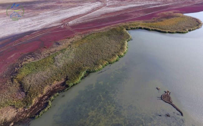 В Україні з'явився острів у формі фазана