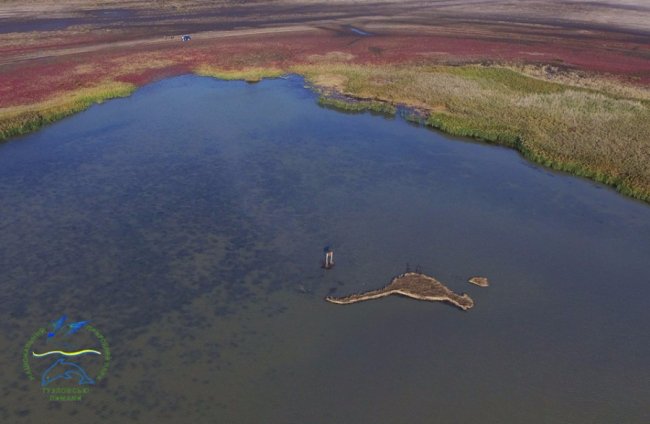 В Україні з'явився острів у формі фазана