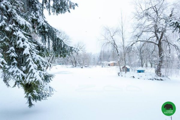 Зима в Луцькому зоопарку