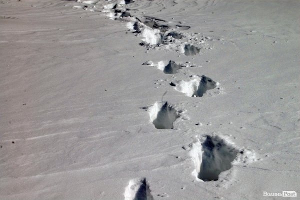 Луцьк після снігопаду. ФОТО