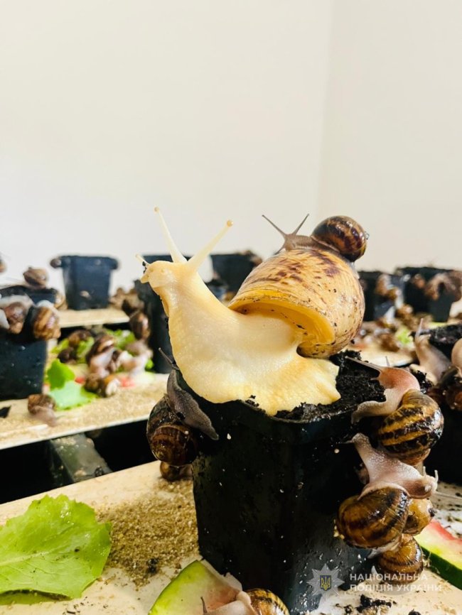 Поранені правоохоронці на Волині відвідали равликову екоферму. ФОТО