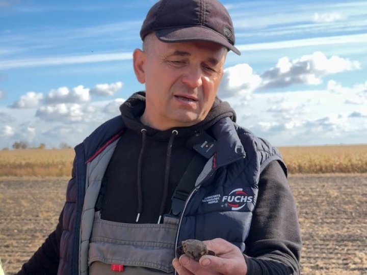 Фермер з Волині розповів про збір картоплі на Волині: яка урожайність та ціни