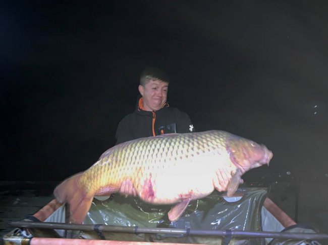 Врятований з пательні: гігантського коропа випустили в озеро на Волині. ФОТО