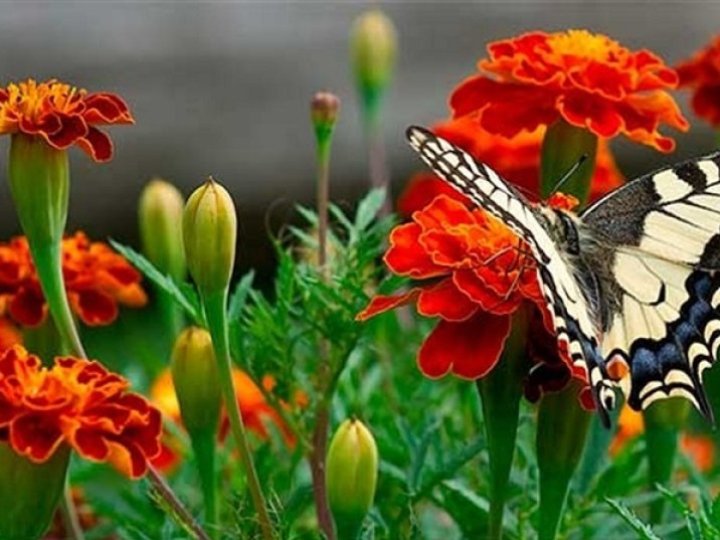 Якою буде погода у Луцьку та на Волині у понеділок, 22 вересня