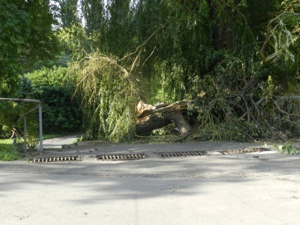 У Луцьку шостий день не можуть прибрати наслідки зливи. ФОТО