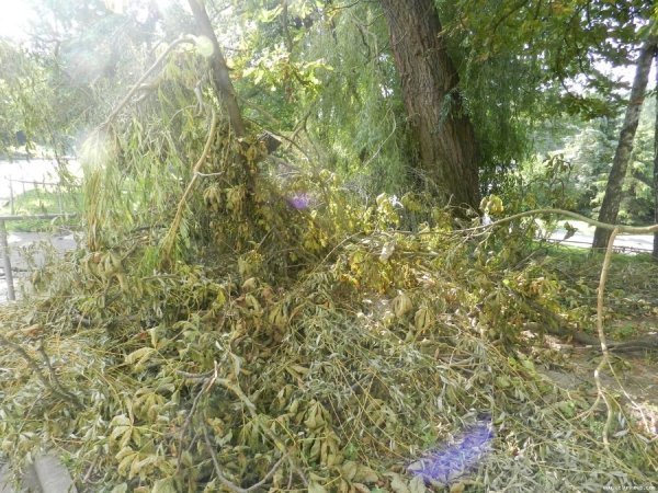 У Луцьку шостий день не можуть прибрати наслідки зливи. ФОТО