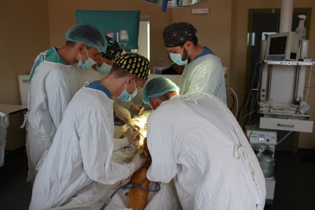 Волинські лікарі врятували пацієнта із гангреною. ФОТО