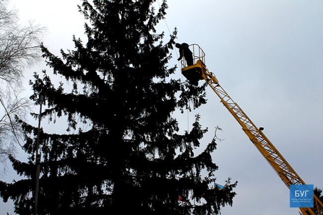 У містечку на Волині вже прикрашають центральну ялинку. ФОТО