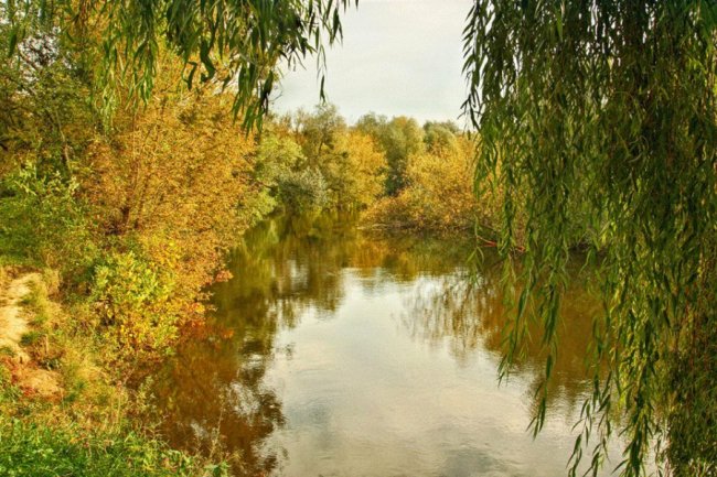 Автор фото - Олег Бурлака