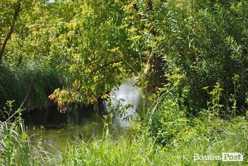 Відпочинок під Луцьком. Коршів