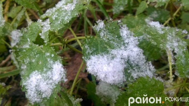 Мокрий і лапатий: на Волині - сніг. ФОТО