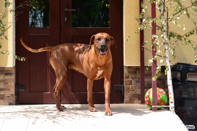  «Волинські вакації»: як відпочивають діти військових та волонтерів