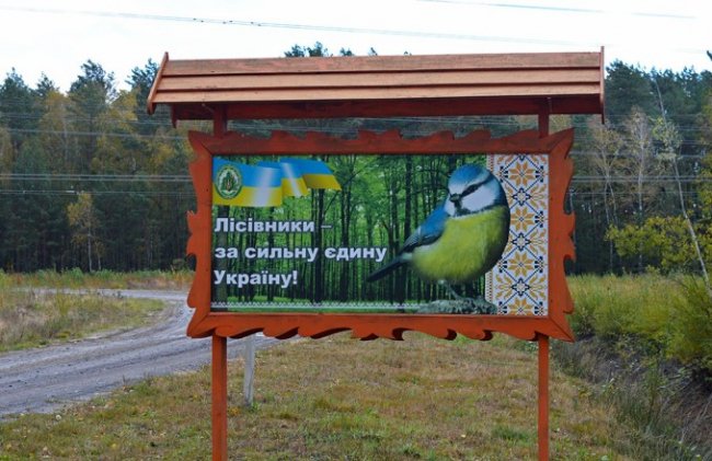 Атмосферні осінні світлини лісових рекреаційних зон на Волині. ФОТО