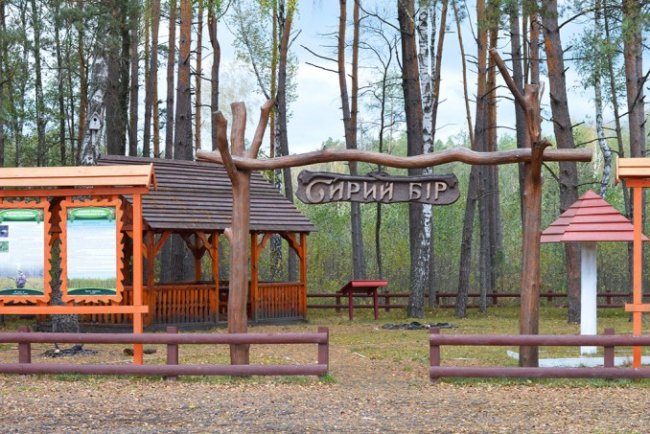 Атмосферні осінні світлини лісових рекреаційних зон на Волині. ФОТО