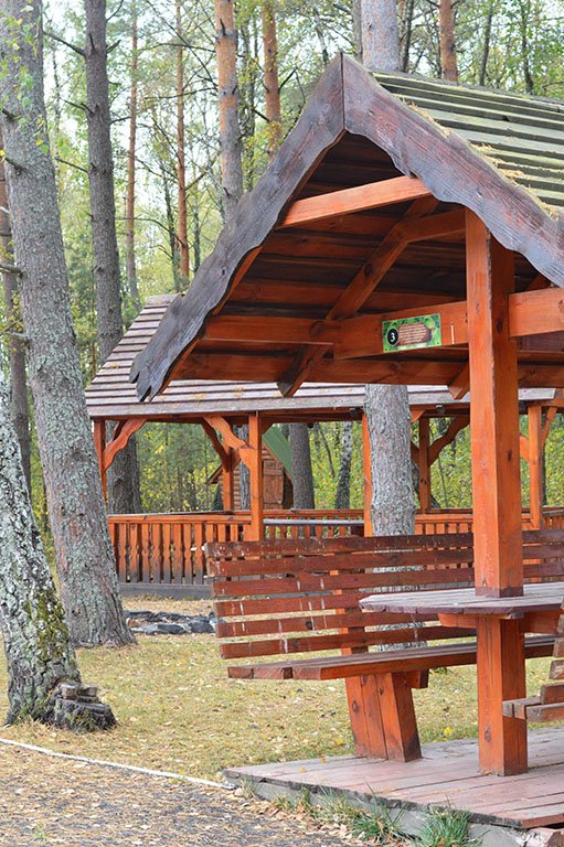 Атмосферні осінні світлини лісових рекреаційних зон на Волині. ФОТО