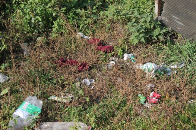 Собаки розривають памперси: на Волині - смітник в центрі селища