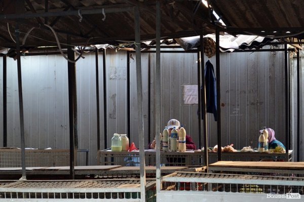 Хочеш продати молоко? Приходь першим!