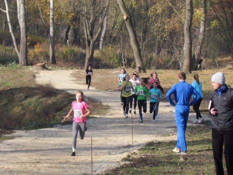 Траса з кросу з часом перетвориться на «Стежку здоров’я», на ній планують облаштувати ліхтарі та лавочки