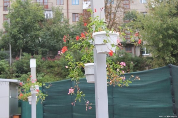 Як у Луцьку готуються відкрити Міст Закоханих. ФОТО