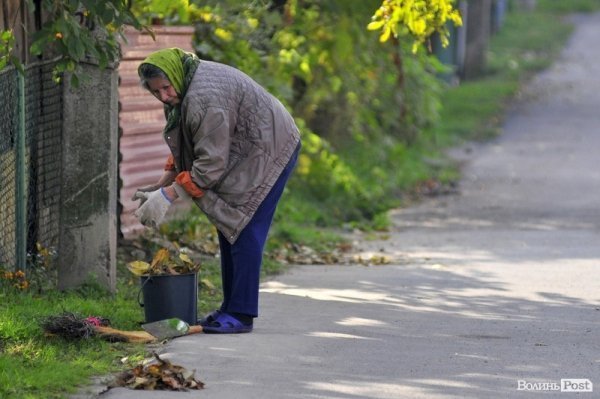 Люди, які прибирають луцькі вулиці. ФОТО
