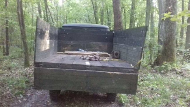 На Волині знову зловили «чорних лісорубів». ФОТО
