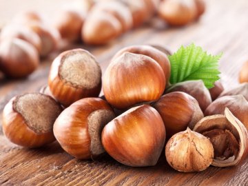 На Волині з’явилася експериментальна плантація фундука