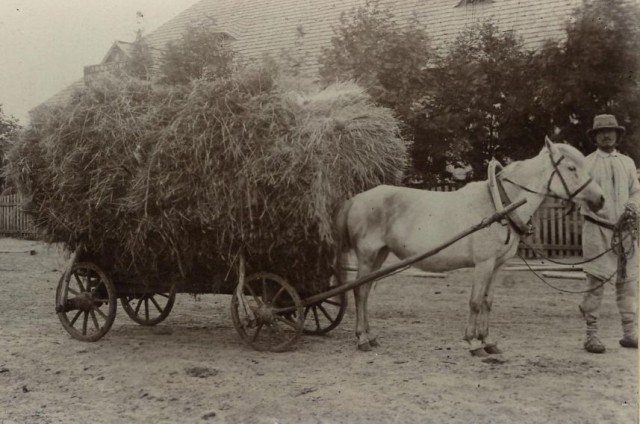 Опублікували раритетні фото мешканців селища Любешів