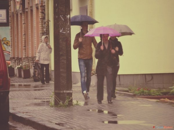 Луцькі парасолі. ФОТО