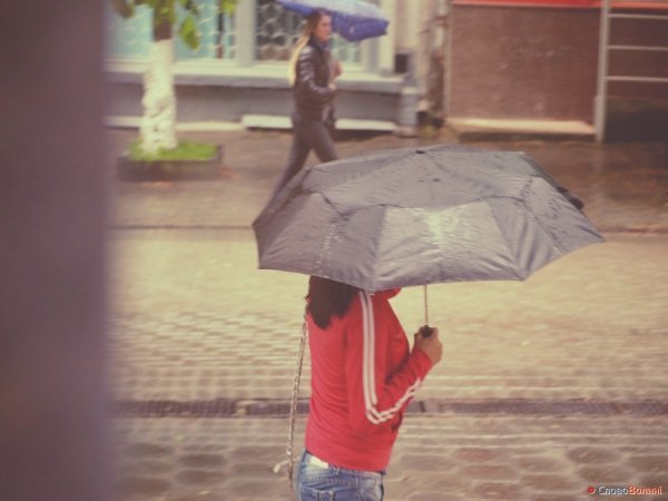Луцькі парасолі. ФОТО
