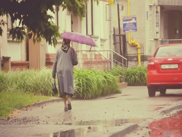Луцькі парасолі. ФОТО