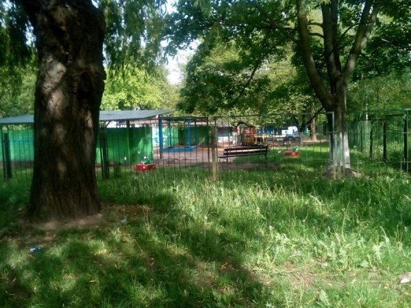 Луцький депутат гарантує ремонт дороги біля дитсадка. ФОТО