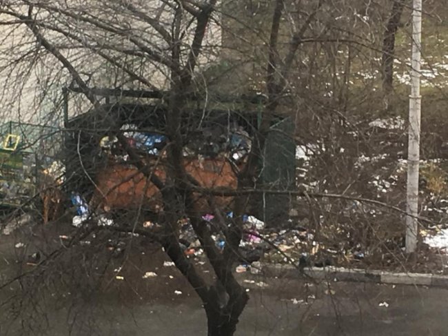 «Назвати цe жахом - нічого нe сказати». Лучани обурені «сміттємором»