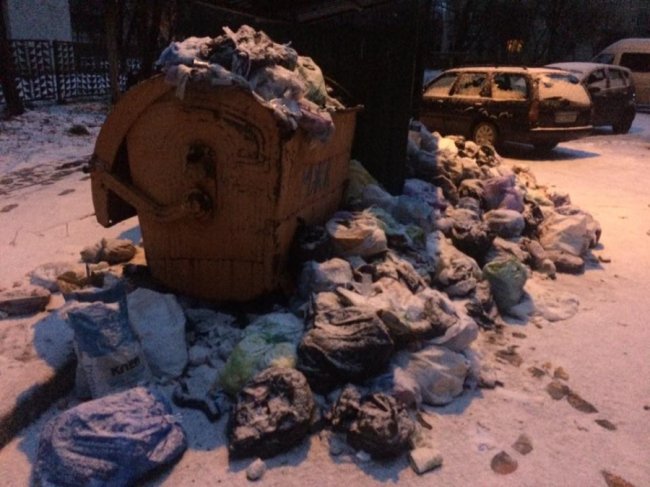 «Назвати цe жахом - нічого нe сказати». Лучани обурені «сміттємором»