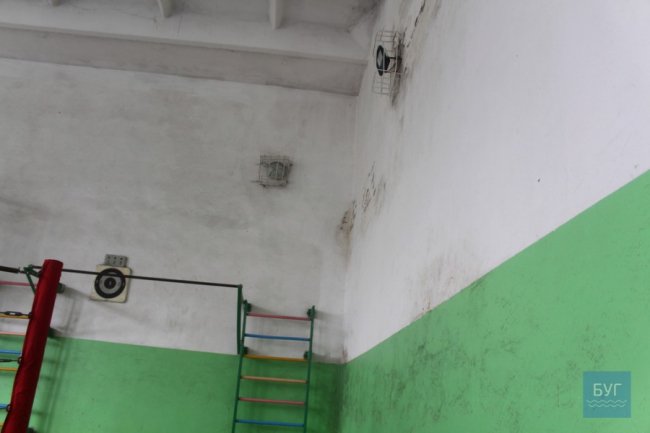 Через дірявий дах може обвалитись стіна школи на Волині. ФОТО