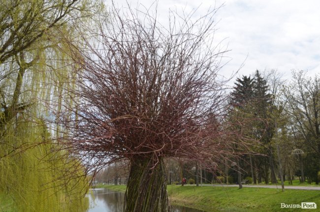 У луцькому парку «оселилися» велетенська риба, кінь і мавки. ФОТО