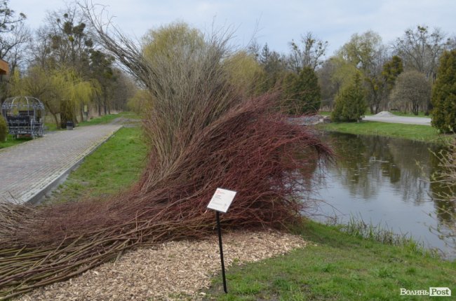 У луцькому парку «оселилися» велетенська риба, кінь і мавки. ФОТО