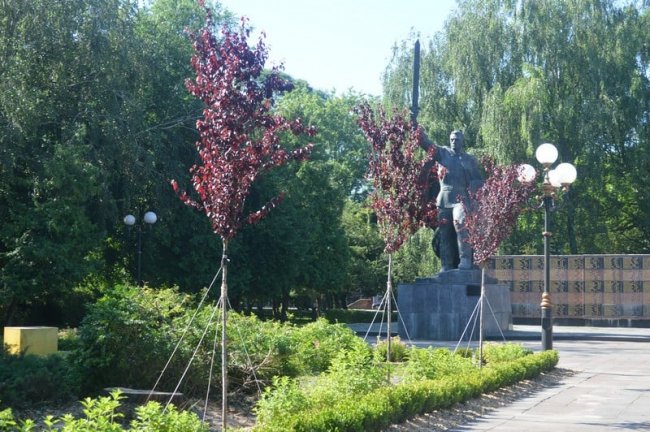 У місті на Волині біля Меморіалу Слави висадили 4 сотні багаторічних квітів, кущів та дерев. ФОТО