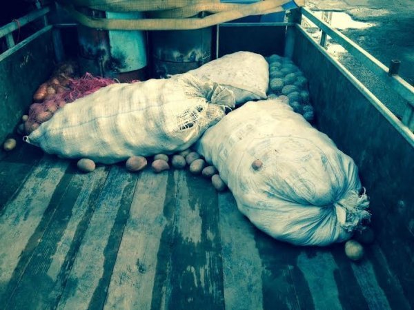 Директор Маневицької школи передав бійцям допомогу. ФОТО