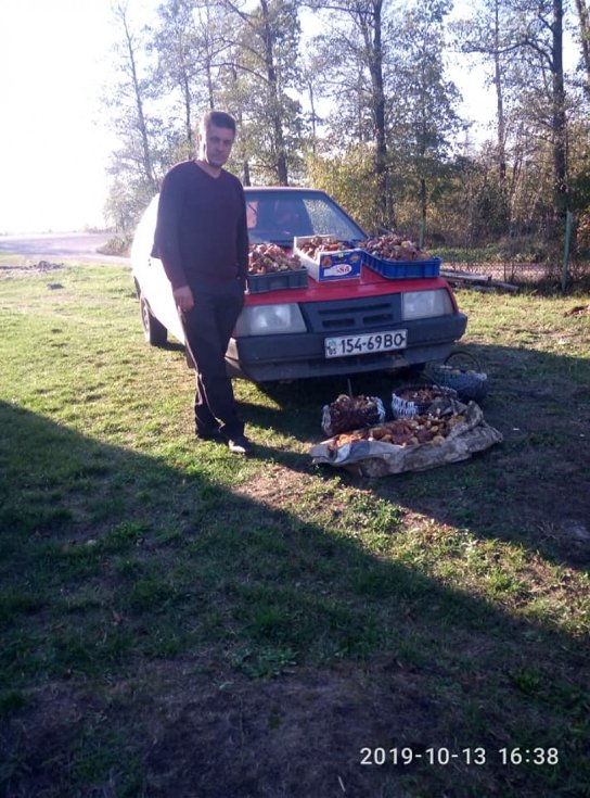 Мешканці району на Волині похизувалися чималим грибним «уловом». ФОТО