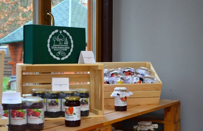 У волинському лісі – новий екомаршрут. ФОТО