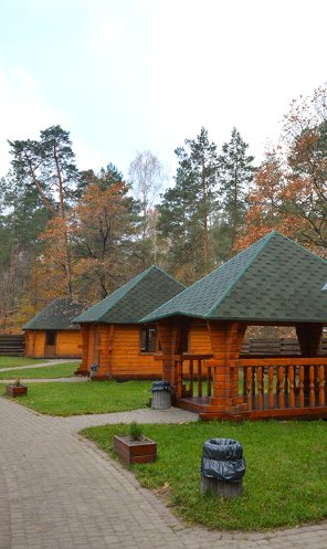 У волинському лісі – новий екомаршрут. ФОТО