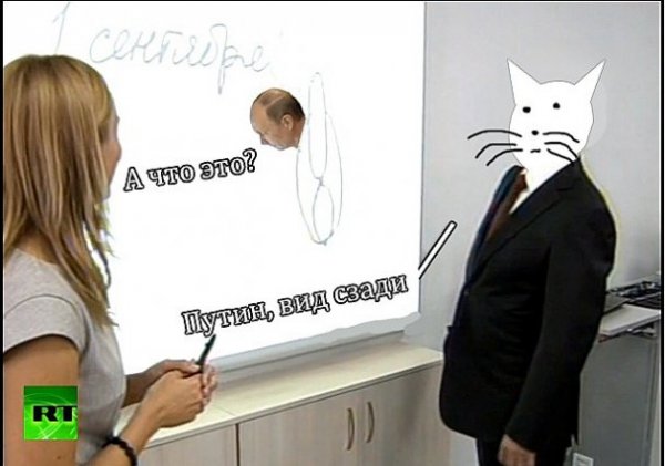 Інтернет жартує з Путіна і його малюнку кішки. ФОТО