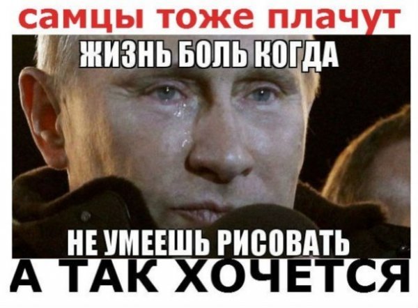 Інтернет жартує з Путіна і його малюнку кішки. ФОТО