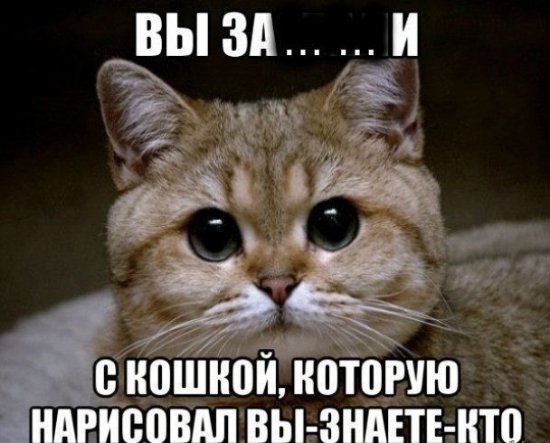 Інтернет жартує з Путіна і його малюнку кішки. ФОТО