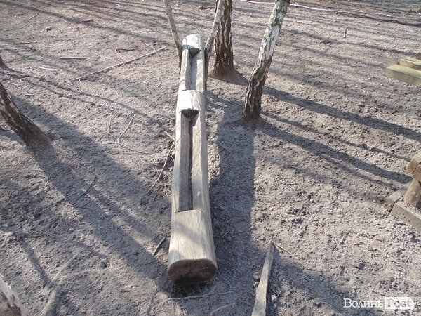 Тут підгодовують тварин