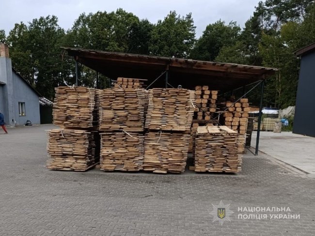 На Волині троє чоловіків вирубували ліс та продавали його