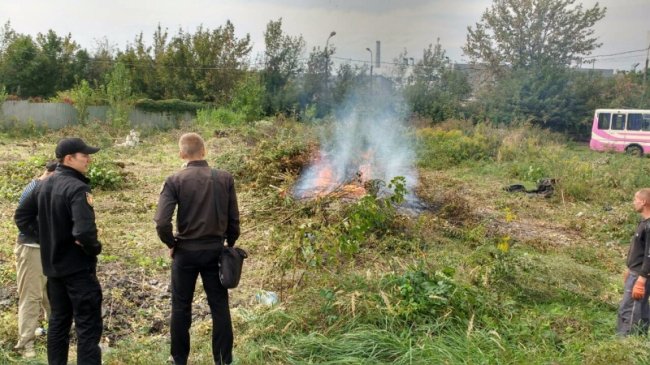 Їх штрафують, а вони палять: муніципали знову зловили порушників