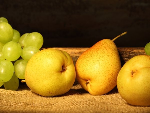 Grape pear. Груша и виноград. Натюрморт с грушами. Яблоки и груши. Груша на столе.